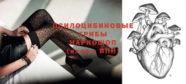 гашик Пестово