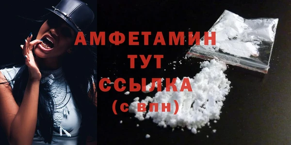 гидра Осинники