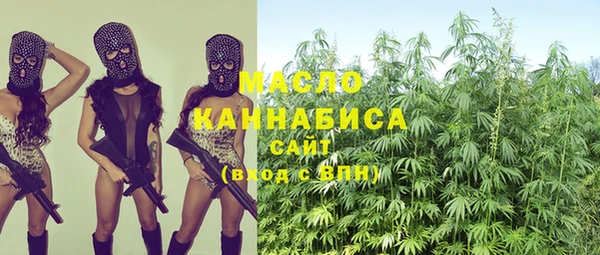 гидра Осинники