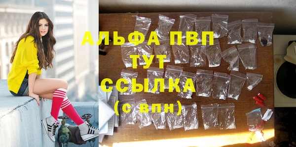 стаф Осташков