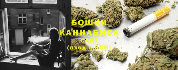 стаф Осташков