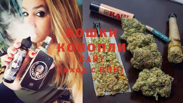 стаф Осташков