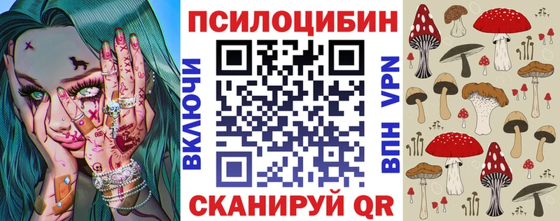 наркота  Поронайск  Галлюциногенные грибы Psilocybine cubensis 