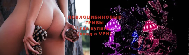 Псилоцибиновые грибы MAGIC MUSHROOMS  нарко площадка состав  Поронайск  что такое наркотик 